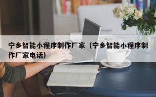 浙江宁乡智能小程序制作厂家（宁乡智能小程序制作厂家电话）